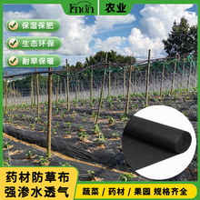 �ɶ��ƶ���ʹ��90���߲˷Nֲ�r�÷��ݵ�Ĥ180�������s�ݳ��ݲ�