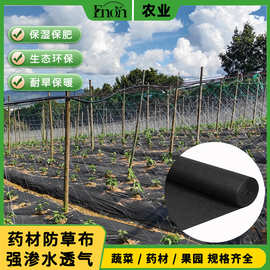 可定制短期使用90天蔬菜种植农用防草地膜180天幼苗杂草除草布