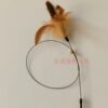 Steel wire, interactive toy, pet, cat