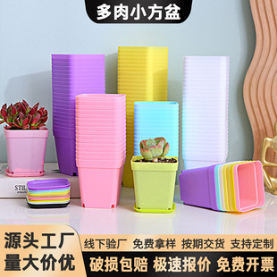 �������С�����ɫ��С�������ϻ����֬�Ӻ��������������Զ���