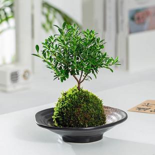 С�~���̦�\���k���Ҳ����҃ȾGֲ�ļ����G���B������՚�����