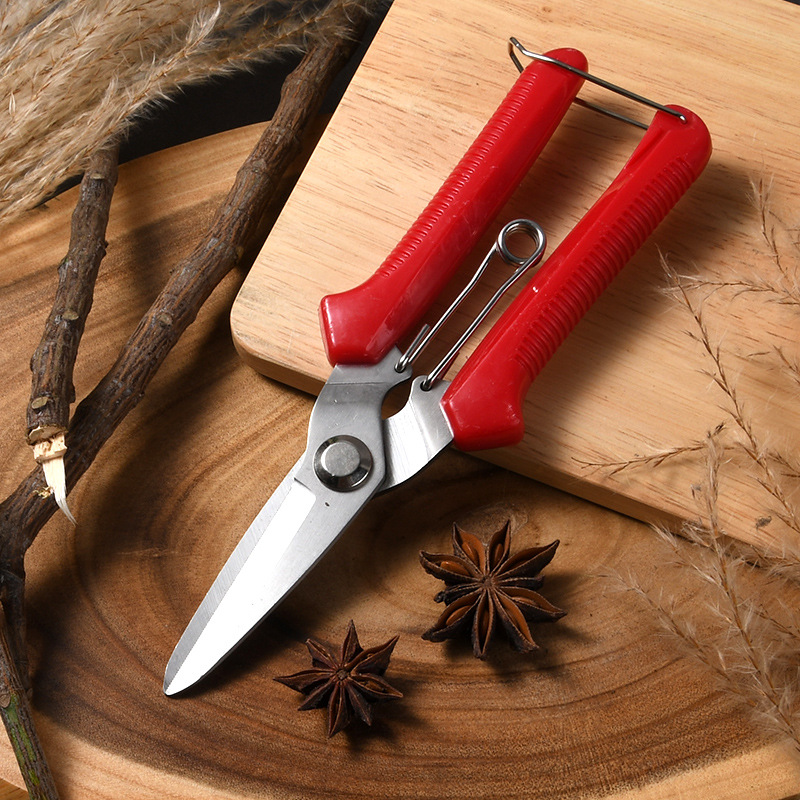 不锈钢剪枝果树采摘剪刀园艺园林修花枝剪家用剪子盆景稀果剪刀具