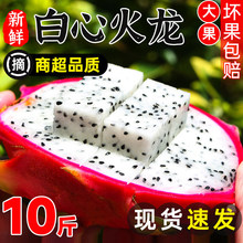 正宗越南进口白心火龙果新鲜10斤蜜宝白肉应当季时令孕妇水果整箱