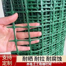 绿色养鸡塑料网家用围栏网耐晒果园鱼塘养殖防护网园林绿化装饰网