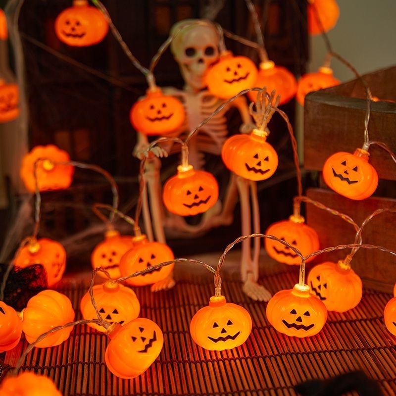 인기 있는 컷 호박