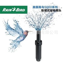 B5004^Bs^ʽD^15.2RainBird