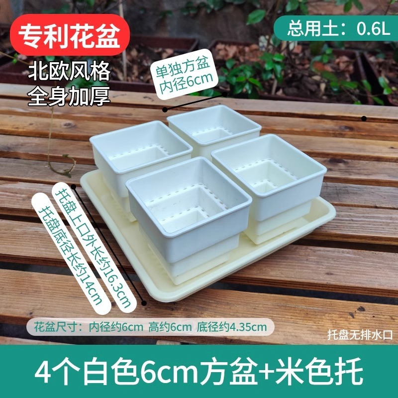 樹脂多肉植木鉢大口径小白角コンビネーション台座付きトレープラスチック通気植物専用根付き鉢|undefined