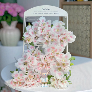 Pink Ancient Flowers for Home Hydroponic Cut Flowers from Yunnan, Kunming, Direct Delivery, Niche, Fresh Floral Materials