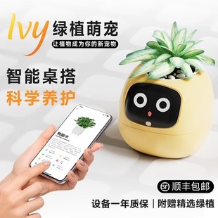 Cross-Border Hot-Selling Emotional Green Plant Desktop Ornaments Smart Flowerpot Birthday Gifts for Men and Women Practical High-End Cute Pet Machine