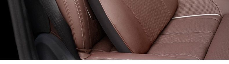 Suitable for Byd Dolphin Car Headrest and Lumbar Support Qin Songyuan Plus Pro Tang Ev Han Dm Destroyer