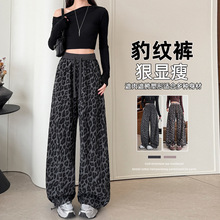 ����Ů�b�͹ű��yӡ�����e���ѝŮ����2026�¿����_��ȃɴ�ѝ��