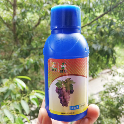小旺哥勁娃葡萄膨大劑植物調節劑巨峰藤稔醉金香去核保果膨大軟梗