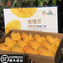 〖顺丰〗海南芒果金煌芒精美礼盒送礼水仙芒热带水果海南直发代发
