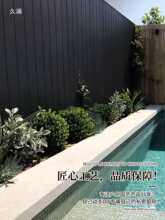 ��ɫ����ľ����̼�����ľ��Ƭ�۰����ͥԺɣ�ð��컨����