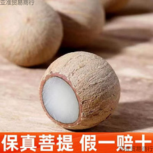 �����ָŮ�ֹ�diy������ԭ��ɢ�����������ִ�����������