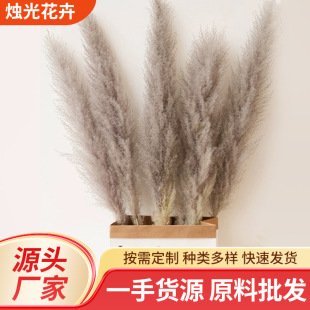 Reed Dried Flower Bouquet for Large Window Display, Living Room Home Decor, Reed Manufacturer Wholesale Dried Reed Bouquet