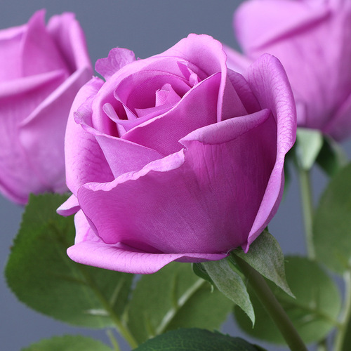 Elegant Hand Feel Moisturizing Single Rose Artificial Flower Valentine's Day Rose Bouquet Wedding Home Decor Flower