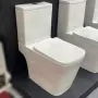 北美外贸分体对冲坐便器