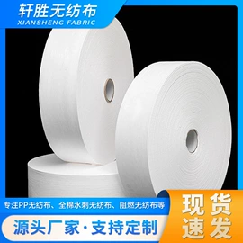 纺粘无纺布;衬布;水刺无纺布