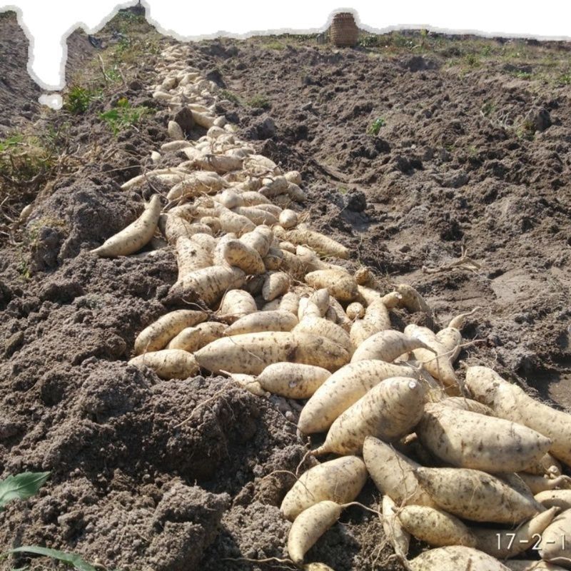 5d6e4b55-63bf-431e-937e-0e16f8834128.jpe