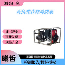 YPB3.5/3.5-S背负式森林消防高压泵大流量供水泵远距离输送稳压泵