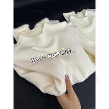 加绒加厚纯色半高领毛衣女秋冬季叠穿软糯内搭基础款针织打底上衣