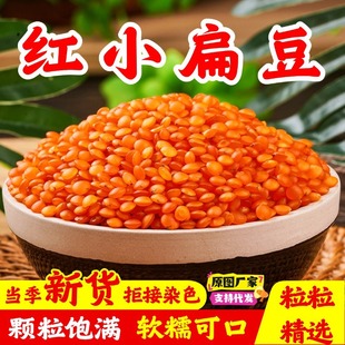 �tС�ⶹ��؛���Ѽt�ⶹС�ⶹ�R�ڶ��t�ⶹ����s�Z�ּZ�w��M