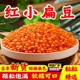 红小扁豆新货番茄红扁豆小扁豆马粟豆红扁豆五谷杂粮粗粮颗粒饱满