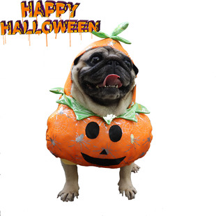Amazon New Halloween Clothes Funny Pumpkin Clothes Dog Cat Funny Transformational Stand Up