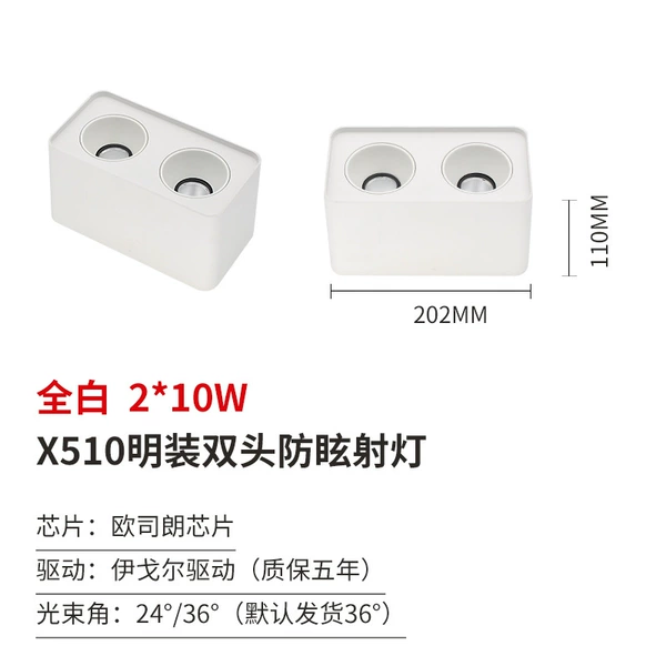Double head 2*10W white + white quality guaranteed for five years