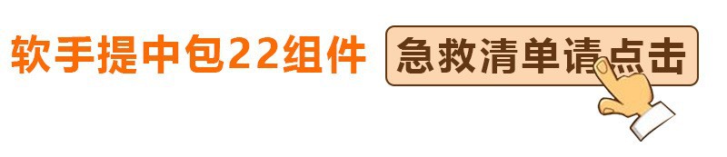 手提软包22