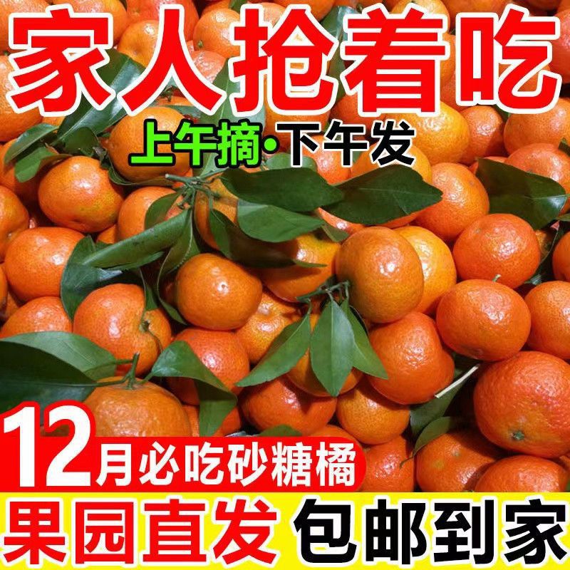 广西沙糖桔5/10斤新鲜砂糖橘薄皮橘子整箱批发包邮|ru