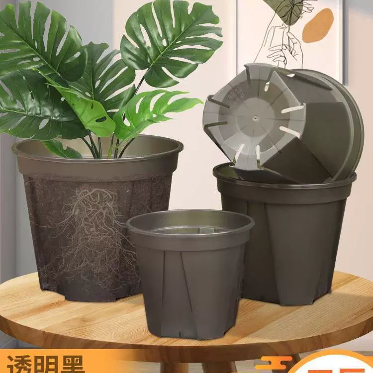 Прозрачный черный горшок горшок с корнем