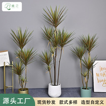 ������Ѫ�F��Gֲ�٘�ֲ���҃ȿ͏d�����쾰�b�ܛ�z�ָ���Ѫ��