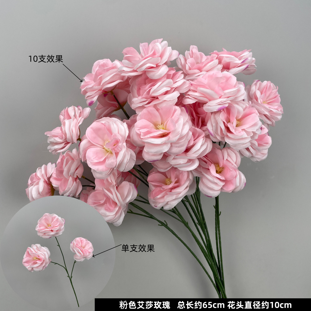 핑크 엘사 로즈