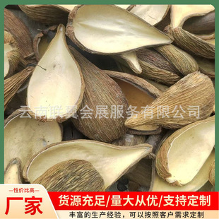 �ͮ�ɏ���Ӛ�������ư�Ϛ���ϸɻ�ԭ�������l��Ȼֲ�����