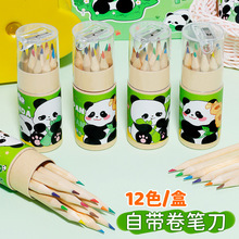 卡通熊猫12色小铅笔绘画笔 涂色笔 儿童学生专用彩色绘图铅笔批发