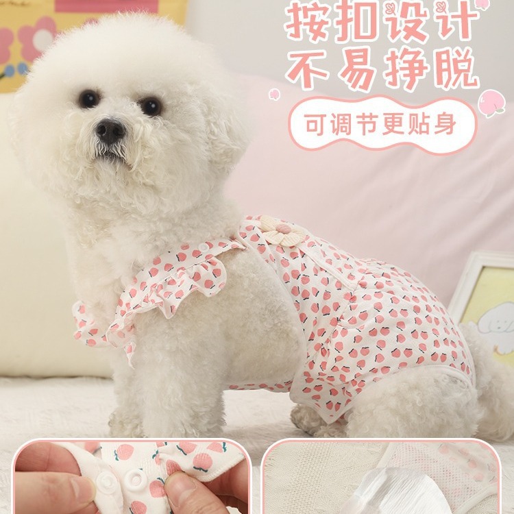 Perro pantalones fisiológicos mascota perro hembra oso pantalones de seguridad shengbo peluche hembra perro pequeño menstrual artefacto tía Pantalones