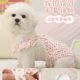 Dog Pants Pet Bitch Bear Safety Pants Bomei Teddy Female Small Dog Menstrual Artifact Aunt Pants
