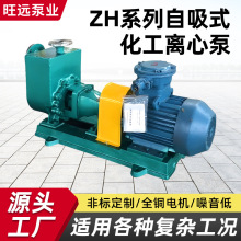 定制不锈钢304化工ZH型卧式自吸式化工离心泵 耐腐蚀自吸离心泵