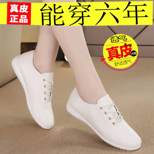 Beige, 259meter