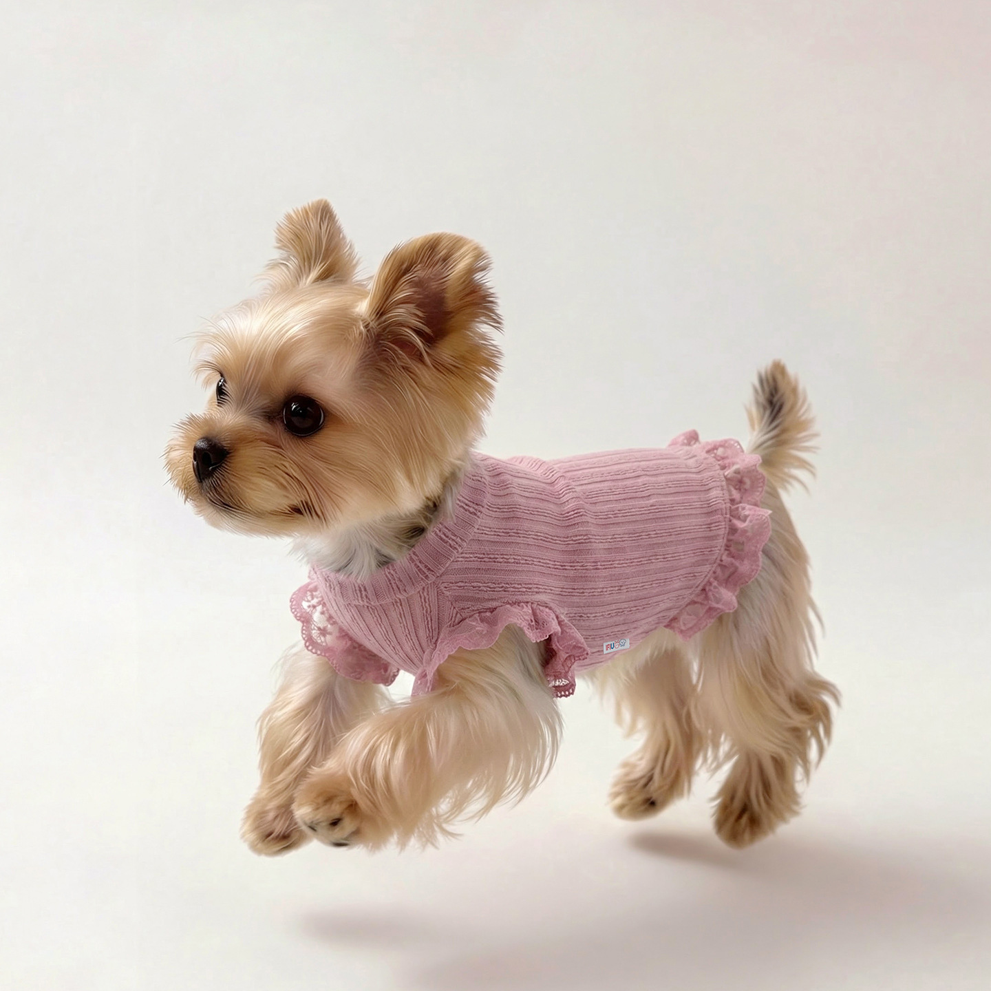 Kæledyrstøj Lille Hunde Bichon Frise Yorkshire Maltesisk Teddy Blonde Forår og Efterår Varmt Hundetøj 2026