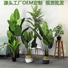 ֲ҃ȿ͏d˽辰Ҿؼ٘b[GֲE18