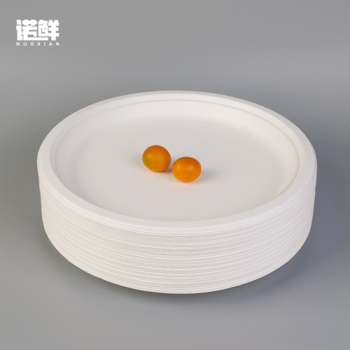 Disposable paper plate kindergarten handmade DIY painting cake barbecue dinner plate paper plate large paper plate 12 inches