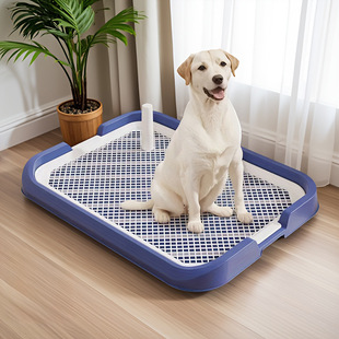 Pet Dog Toilet for Large and Small Dogs, Positioning Urination Training Dog Potty, High Fence Splash-Proof Dog Urinal, One Piece Minimum Order