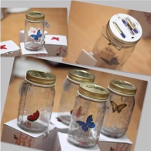 Butterfly Induction Bottle Butterfly Jar Super Butterfly Butterfly Jar Butterfly Jar Gift Gift Gift Ideas