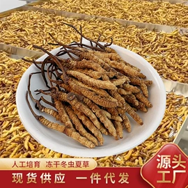 藏红花;石斛/枫斗;冬虫夏草