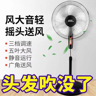 Xianke Electric Fan Household Floor-Standing Desktop Vertical Fan Ultra-Quiet Timing Strong Wind Vertical Fan Leidezhu