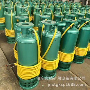 BQS300-10-22/N�V�ø����͝�ˮ�� ��÷����ߓP�̴���������ɳ