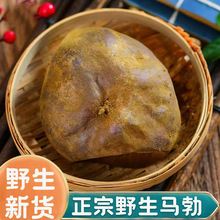 正品野生马勃新货中药材500g马勃菌马勃菇菌包牛屎菇马屁包高磨粉
